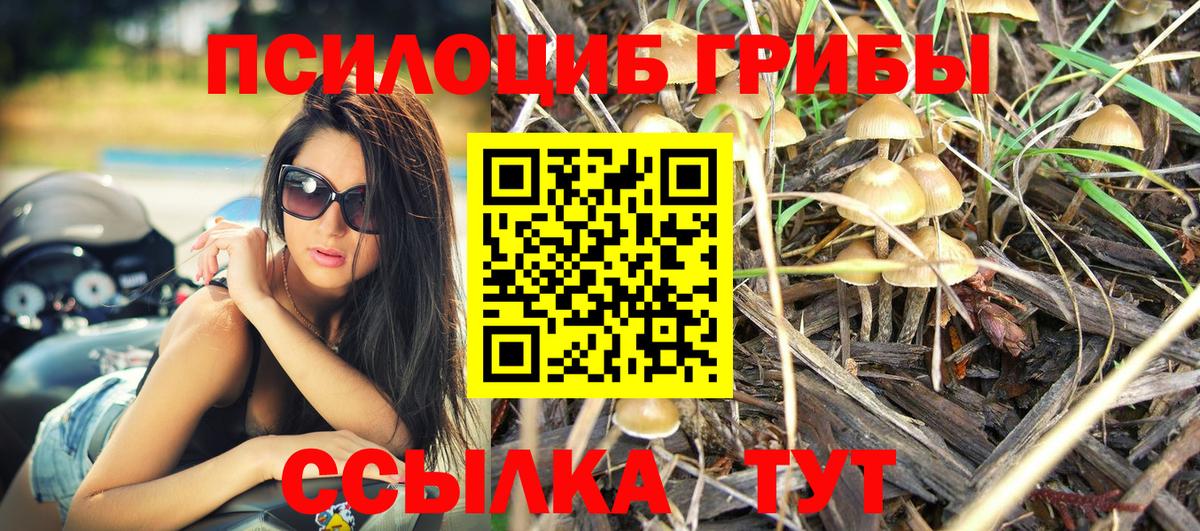 Галлюциногенные грибы Psilocybe  Вход с VPN  Новоалтайск 