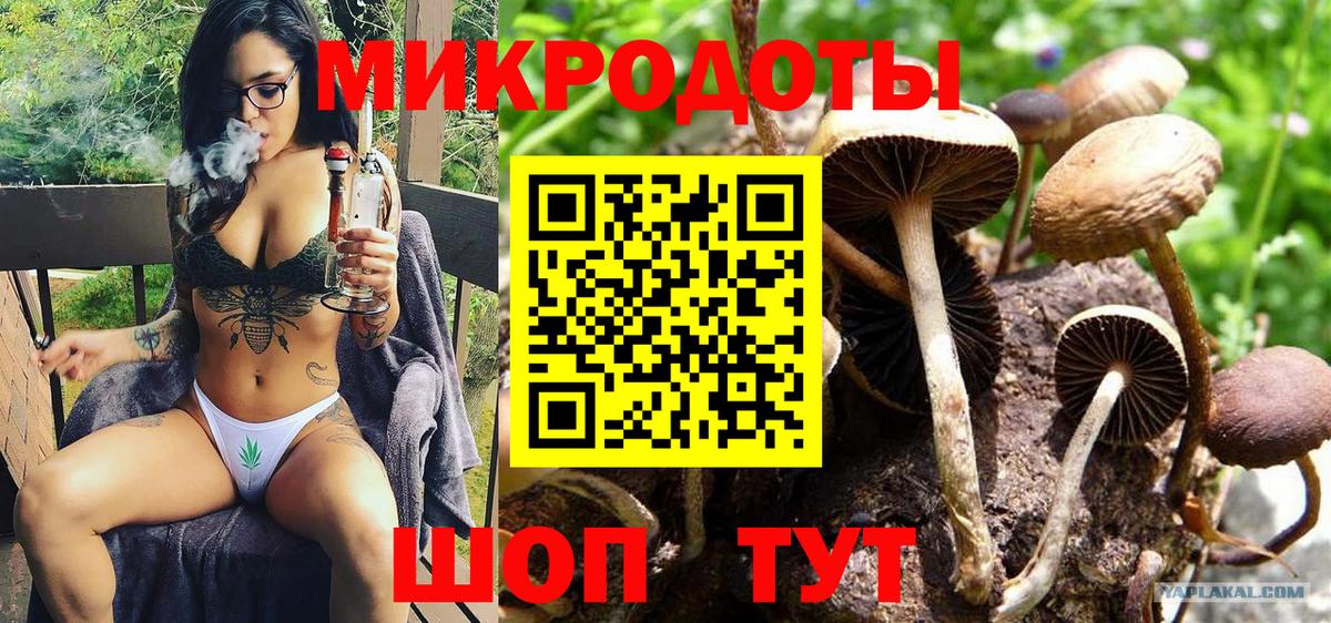Галлюциногенные грибы прущие грибы Новоалтайск
